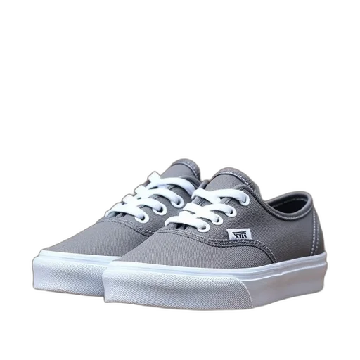shoes, 3d render, photorealistic, monochrome transparent PNG cut-out