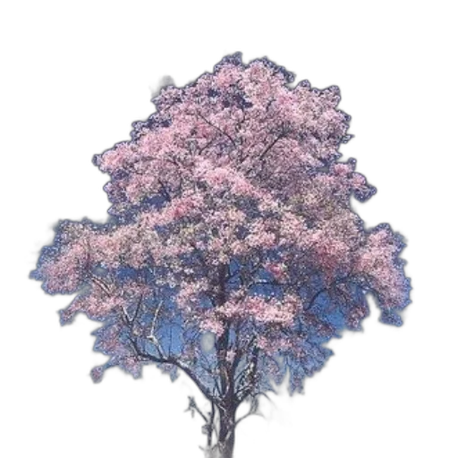 tree, flower, crown, dress transparent PNG cut-out
