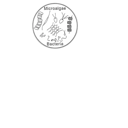 pencil sketch, concept art, diagram, illustrating transparent PNG cut-out