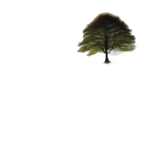 tree, hat, hair, crown transparent PNG cut-out