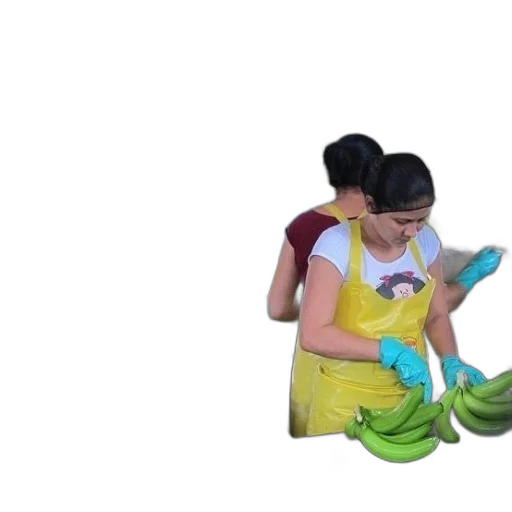 staff, dress, mask, food transparent PNG cut-out