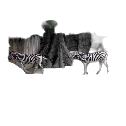 animal, creature, dragon, hat transparent PNG cut-out