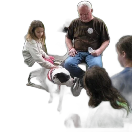 staff, group, people, sit transparent PNG cut-out