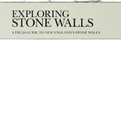 exploring, stone, walls, field transparent PNG cut-out