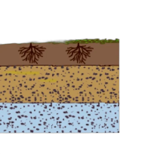 tree, pixel art, concept art, underwater transparent PNG cut-out