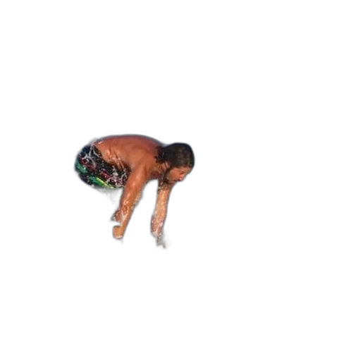 creature, animal, food, hair transparent PNG cut-out