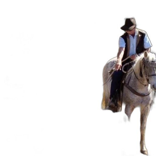 hat, animal, staff, concept art transparent PNG cut-out