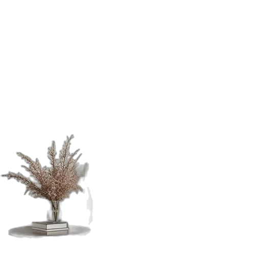 crown, tree, furniture, jewelry transparent PNG cut-out