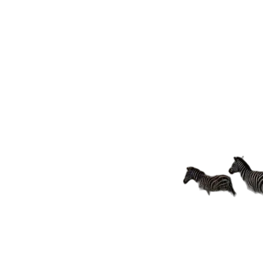 animal, dragon, creature, shoes transparent PNG cut-out