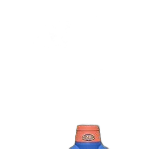 bottle, hat, shoes, dress transparent PNG cut-out