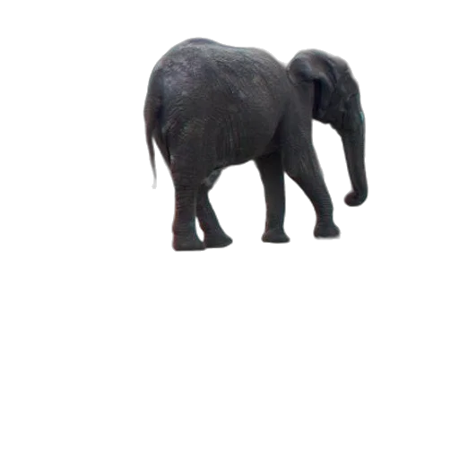 animal, creature, staff, weapon transparent PNG cut-out