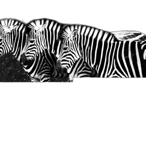 animal, shoes, jewelry, hat transparent PNG cut-out