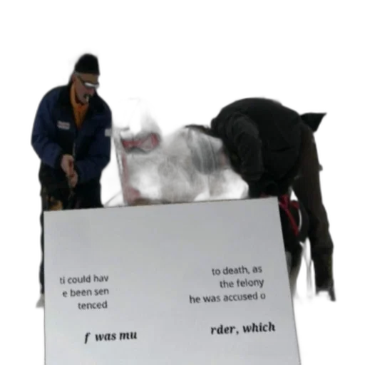 animal, creature, furniture, food transparent PNG cut-out