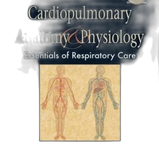 cardiopulmonary, anatomy, physiology, essentials transparent PNG cut-out