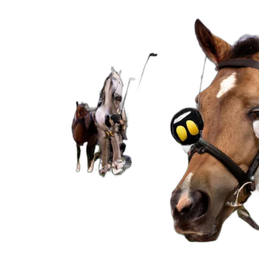 animal, staff, mask, jewelry transparent PNG cut-out
