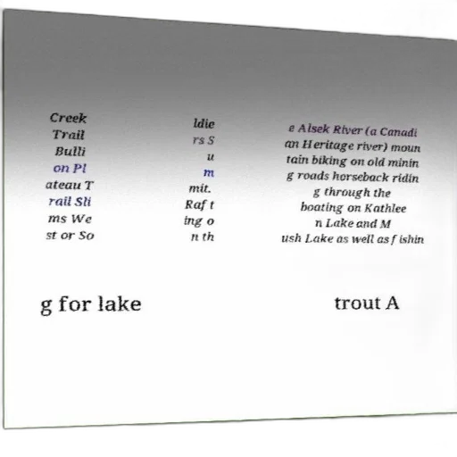 tree, forest, list, outdoor transparent PNG cut-out