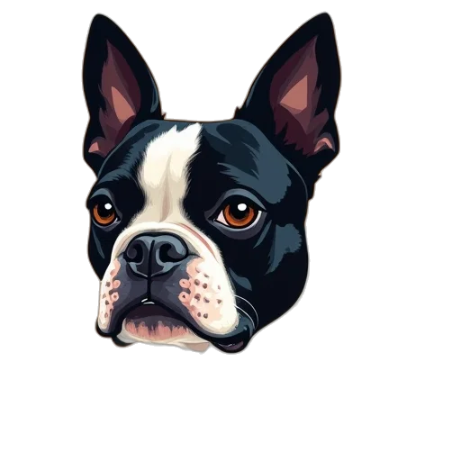 animal, face, staff, creature transparent PNG cut-out