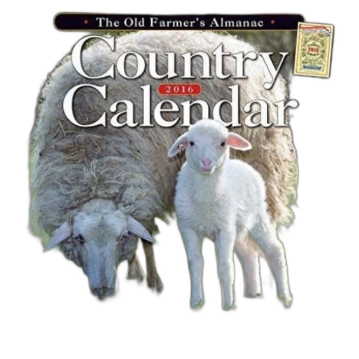 old, farmer, almanac, country transparent PNG cut-out