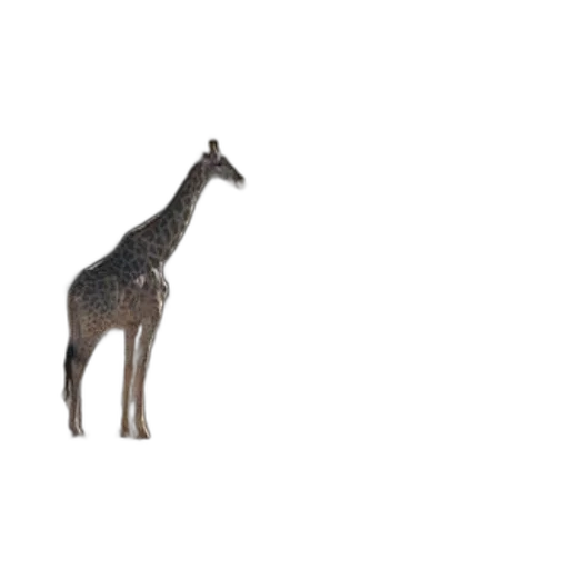 animal, creature, staff, dragon transparent PNG cut-out