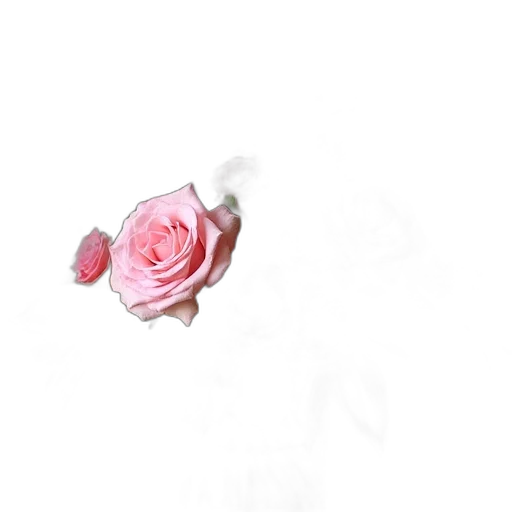 flower, jewelry, crown, staff transparent PNG cut-out