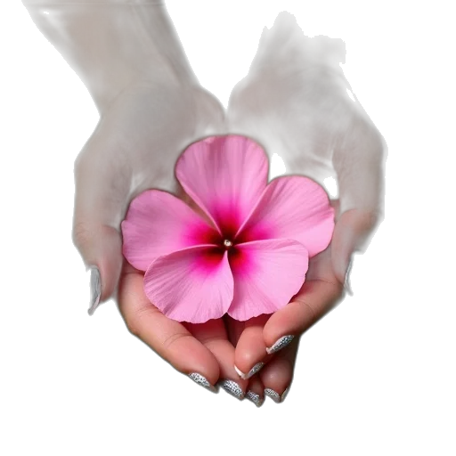 flower, jewelry, weapon, photorealistic transparent PNG cut-out