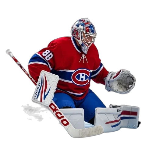 animal, canadiens, goalie, makes transparent PNG cut-out