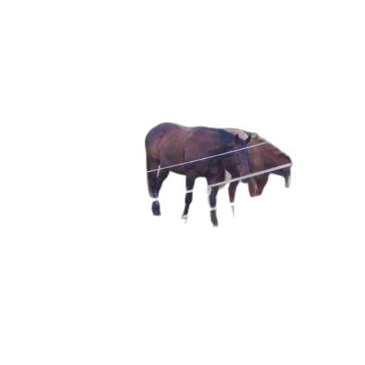 furniture, crown, hat, mask transparent PNG cut-out