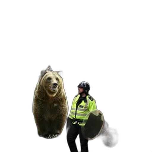 animal, creature, staff, mask transparent PNG cut-out