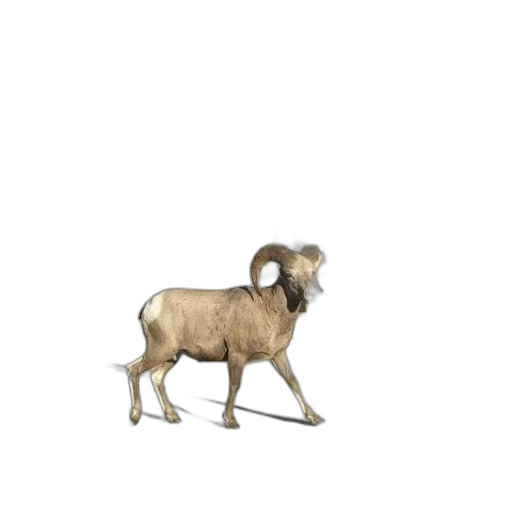 animal, creature, furniture, jewelry transparent PNG cut-out