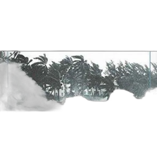 tree, hair, weapon, sword transparent PNG cut-out