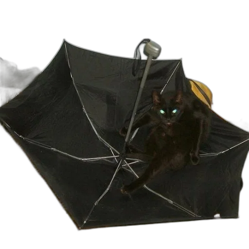 umbrella, creature, dragon, staff transparent PNG cut-out