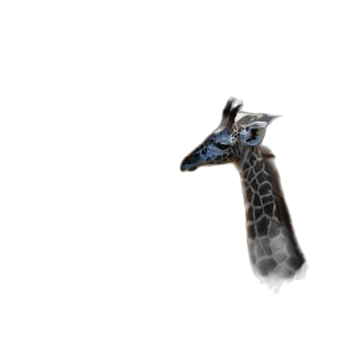 dragon, animal, creature, staff transparent PNG cut-out