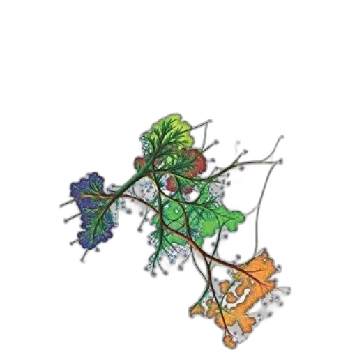 crown, jewelry, concept art, data transparent PNG cut-out