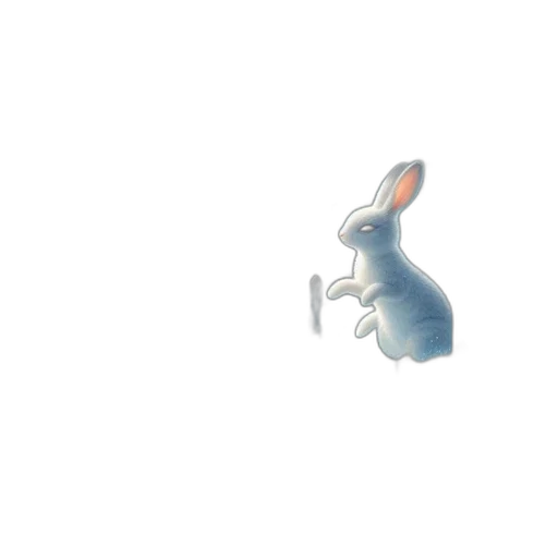 animal, weapon, creature, food transparent PNG cut-out