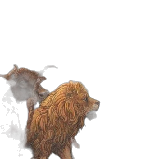 animal, hair, creature, crown transparent PNG cut-out