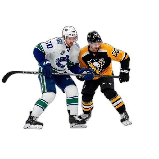 animal, concept art, canucks, player transparent PNG cut-out