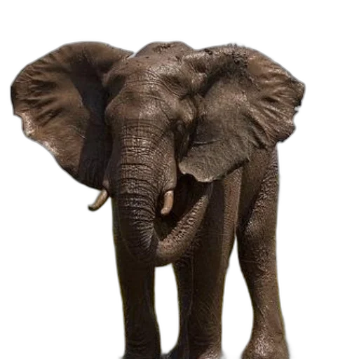 animal, creature, staff, weapon transparent PNG cut-out