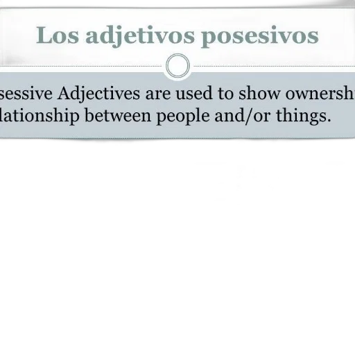 spanish, language, lesson, possessive transparent PNG cut-out