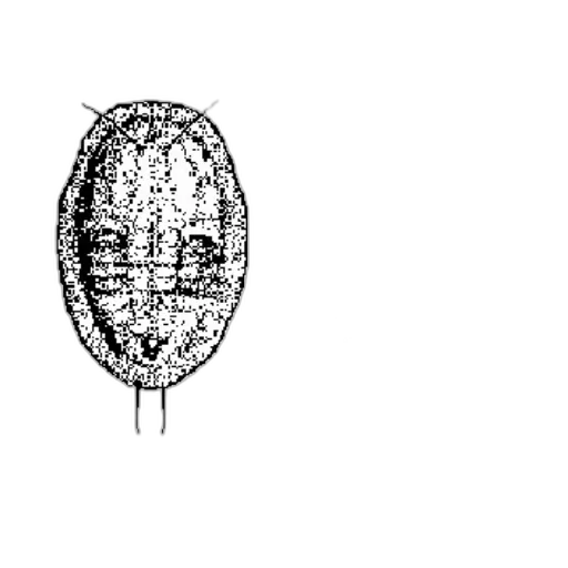 mask, face, crown, jacket transparent PNG cut-out