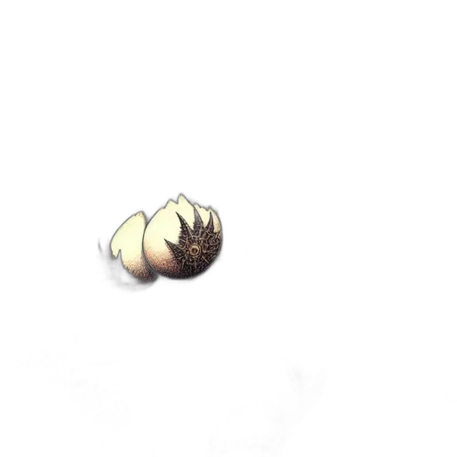 hair, creature, animal, flower transparent PNG cut-out