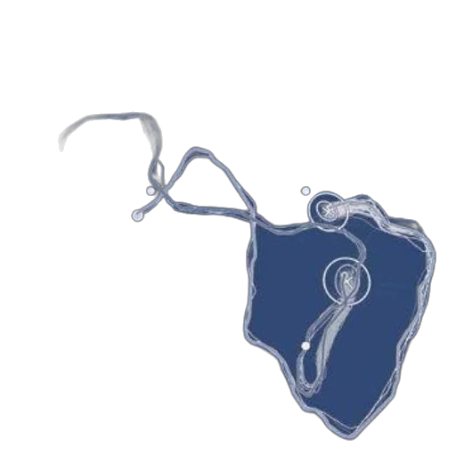 jewelry, staff, umbrella, crown transparent PNG cut-out