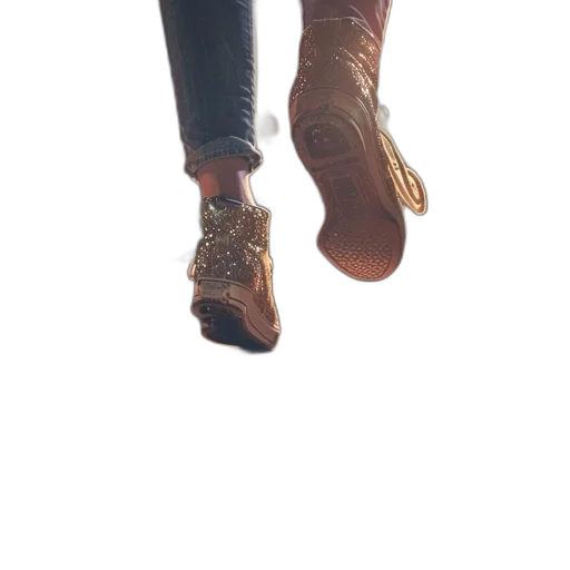 shoes, jacket, creature, animal transparent PNG cut-out