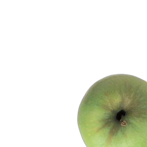 food, crown, tree, hair transparent PNG cut-out