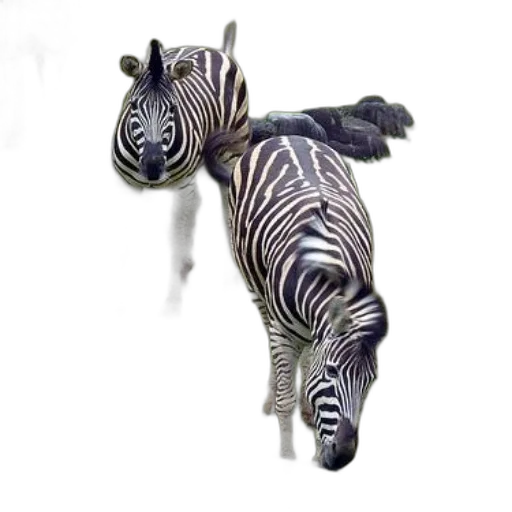 animal, creature, jewelry, staff transparent PNG cut-out