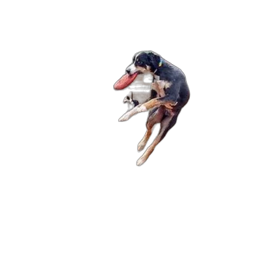 animal, creature, dragon, hat transparent PNG cut-out