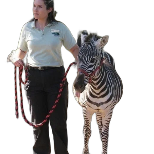 staff, animal, creature, woman transparent PNG cut-out