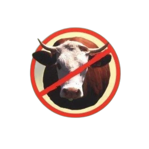 animal, staff, food, book transparent PNG cut-out