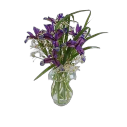 flower, crown, photorealistic, small transparent PNG cut-out