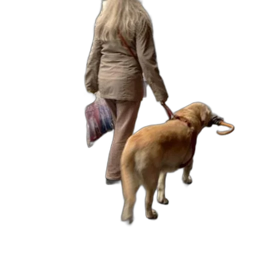 dress, animal, staff, creature transparent PNG cut-out