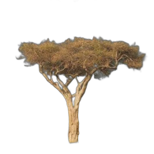 tree, hair, crown, staff transparent PNG cut-out